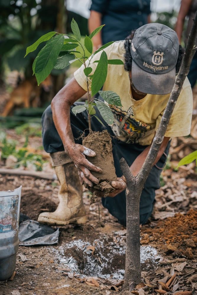 Replace with your own photo for: 15,000th tree planted with local youth groups