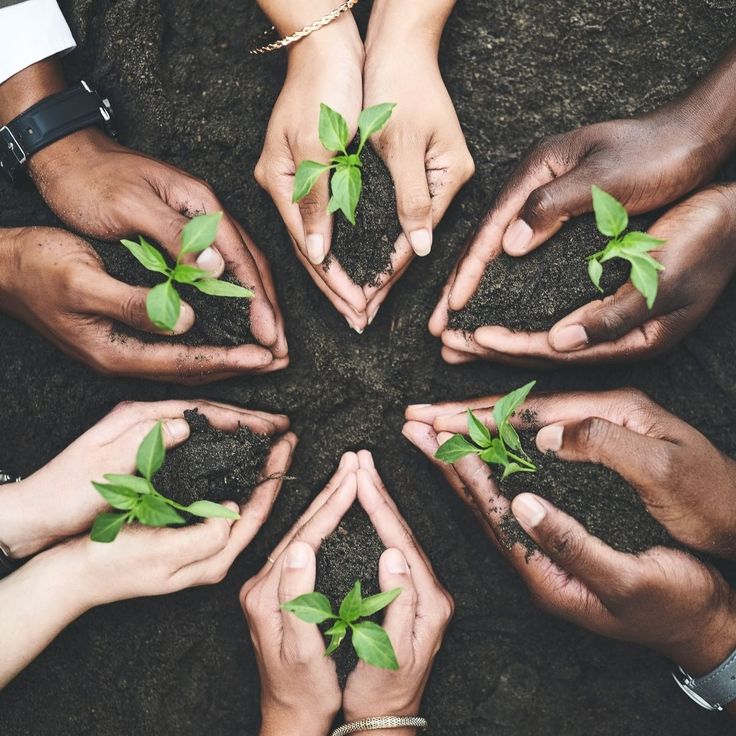 Replace with your own photo — Tree planting day